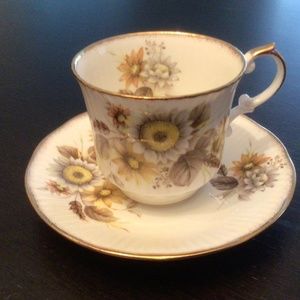 Teacup & Saucer - Rosina China Co. - Vintage